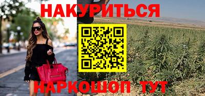 сатива Севастополь
