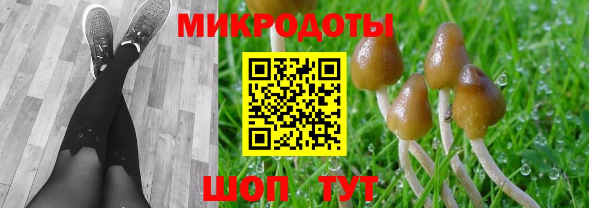 Сердобск  Псилоцибиновые грибы мухоморы  Вход с VPN 