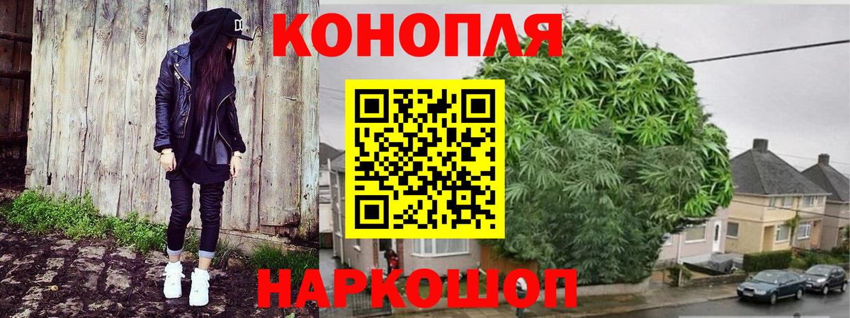 Марихуана сатива Сердобск